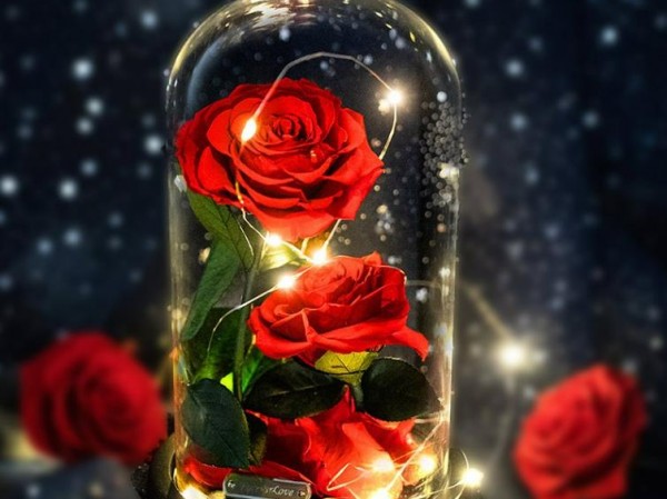 RoseBox Eternal Flower Glass Cover Gift Box